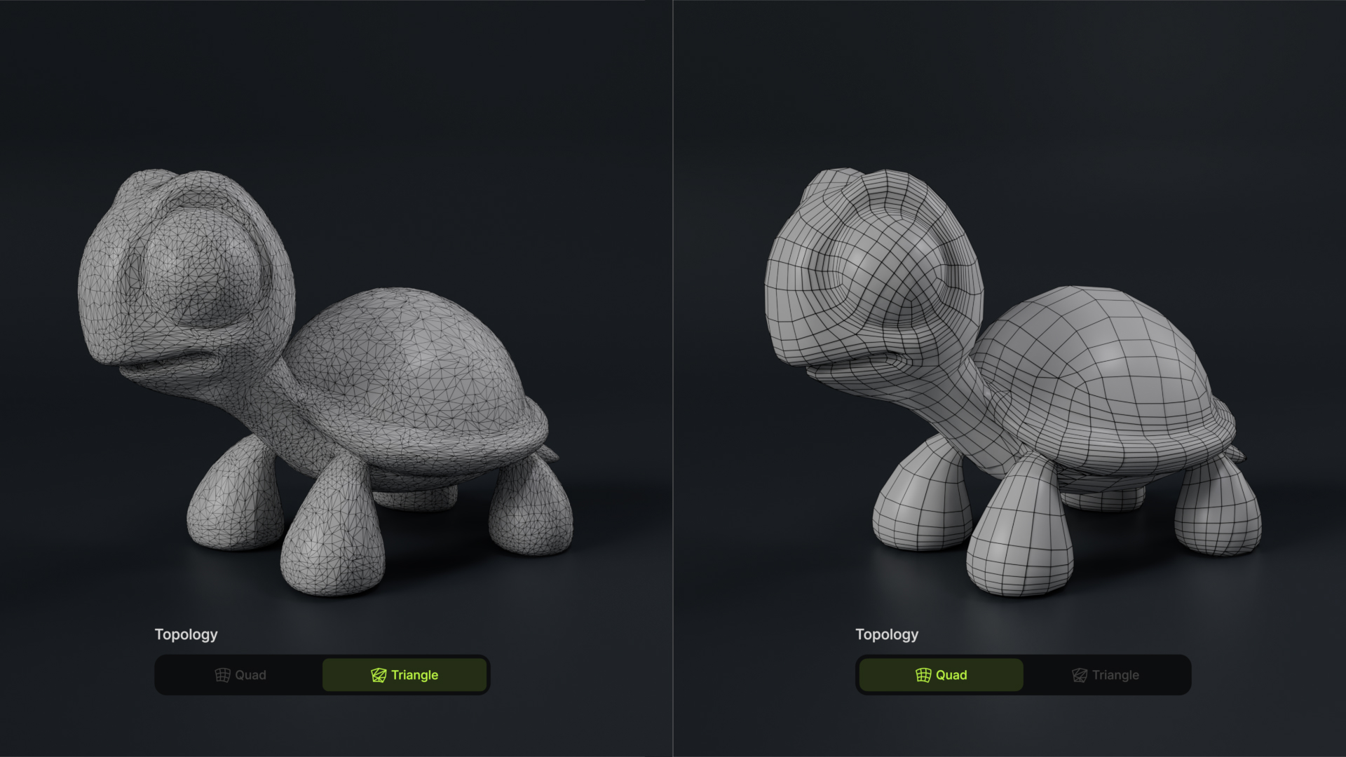 Quad and Triangle Topology Feature