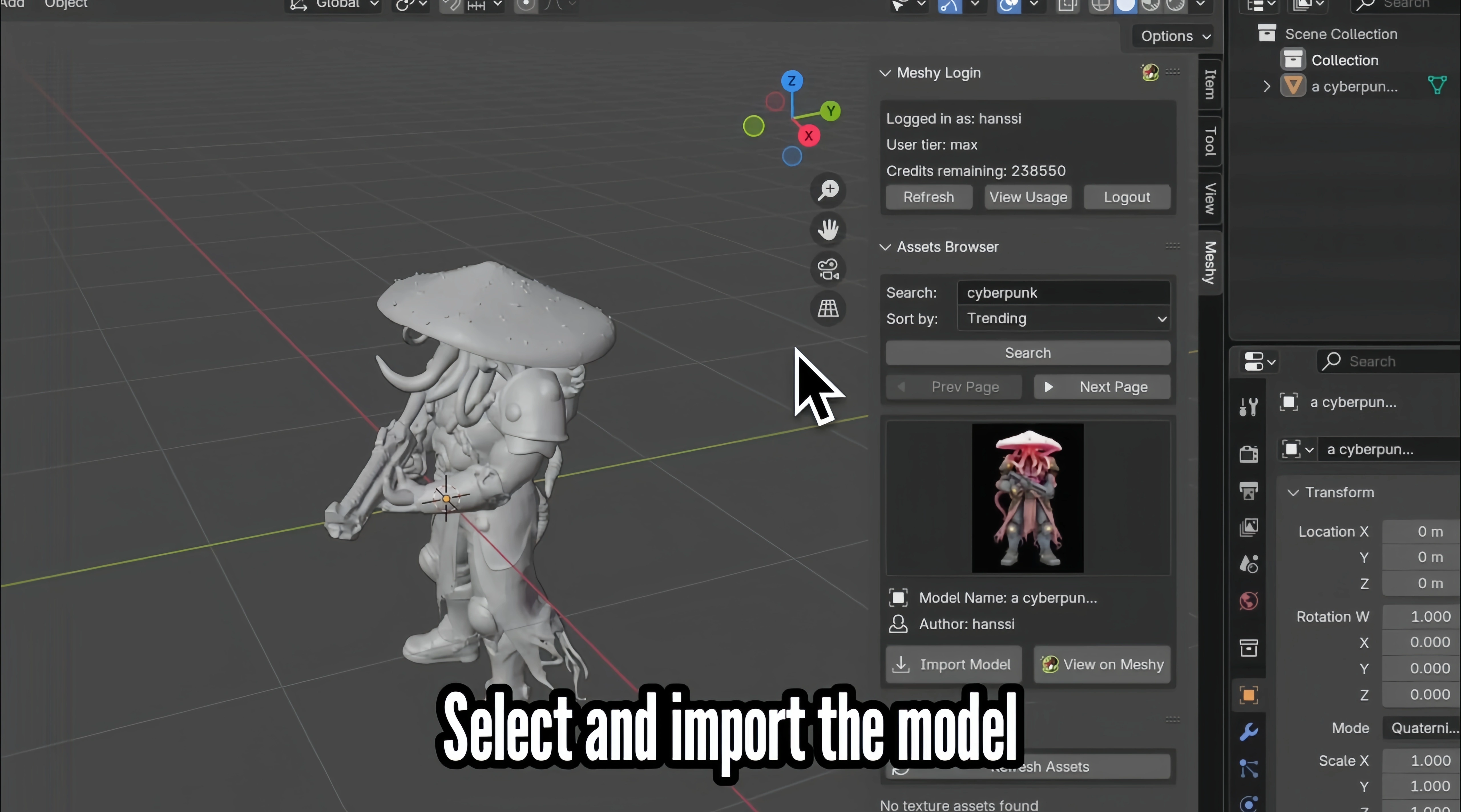 select-and-import-the-model