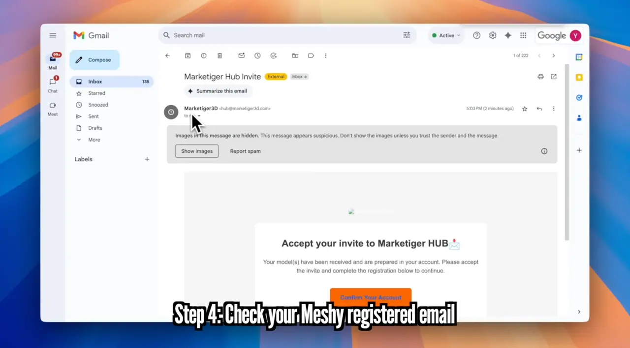 Passo 4 Verifique seu e-mail registrado no meshy