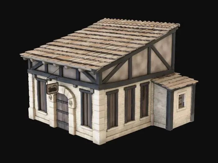 3D model for Medieval Animal Clinic