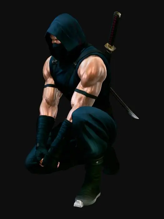 3D model for Dark Hooded Ninja with Twin Katanas