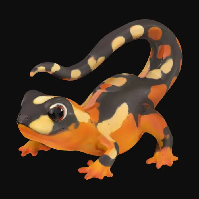 3D model for Salamander Dreams