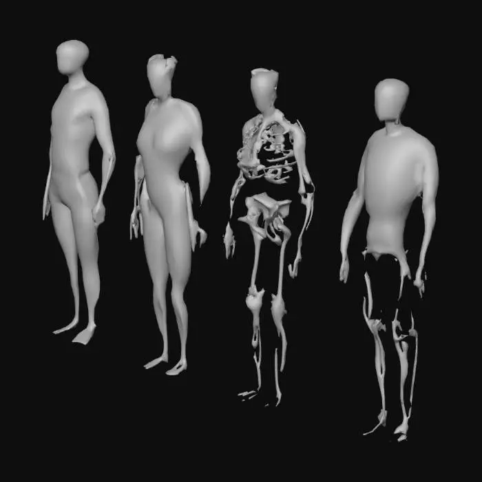 3D model for Human Anatomy Layers