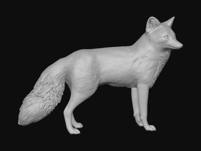 3D model for Crimson Fox