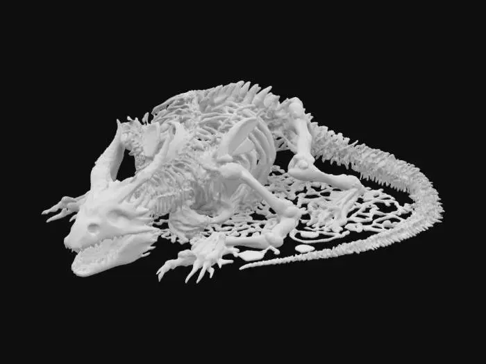3D model for Dragon's Resting Bones
