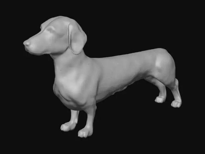 3D model for Dachshund Stance