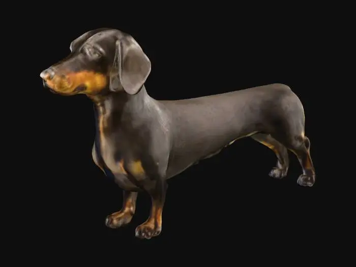 3D model for Dachshund Stance