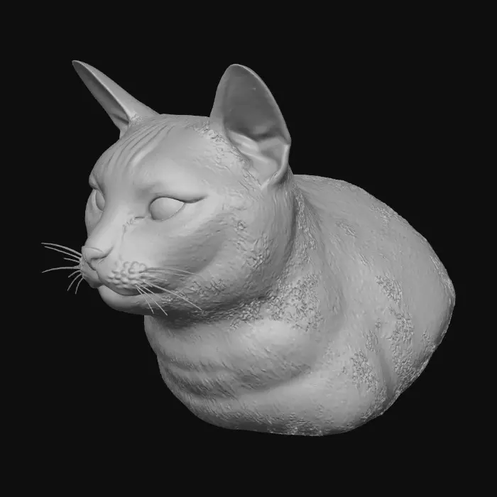 3D model for Shadowed Gaze