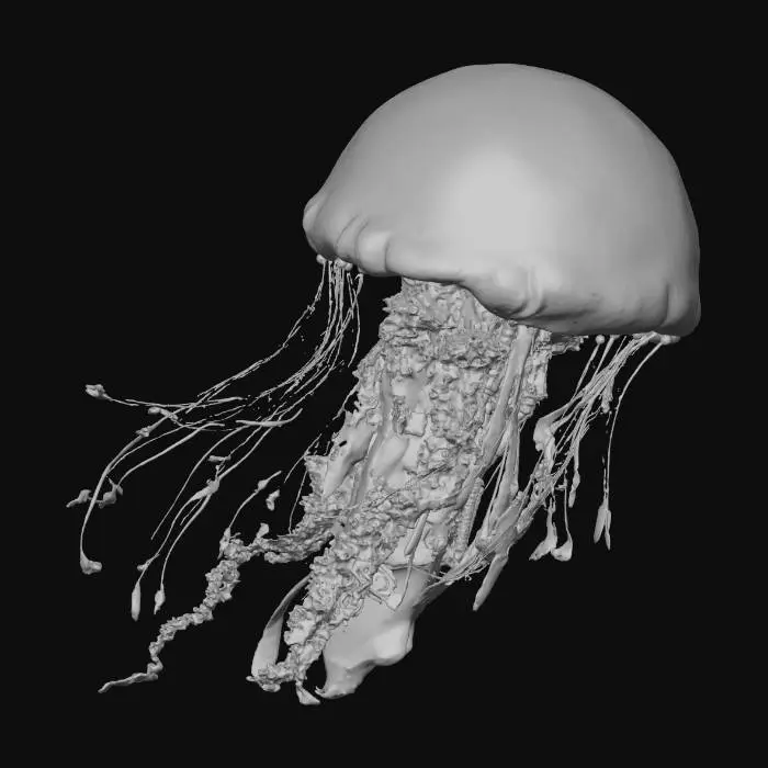 3D model for Celestial Mechanism