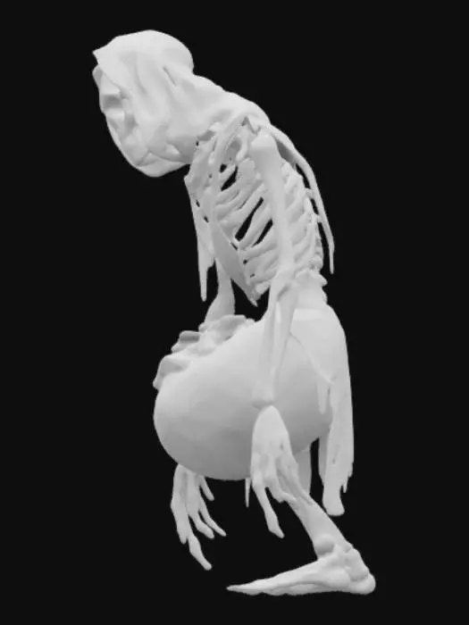 3D model for "Create a 3D model of El Silbón, a terrifying figure from Venezuelan folklore. He is a tall, skeletal humanoid with sunken eyes, pale corpse-like skin, and long bony fingers. He wears ragged, old-fashioned clothing, like a colonial traveler. On his back, he carries a large sack of human bones. His eerie expression and hunched posture evoke fear. The model should have detailed textures for skin, fabric, and bones, capturing his haunting presence."

