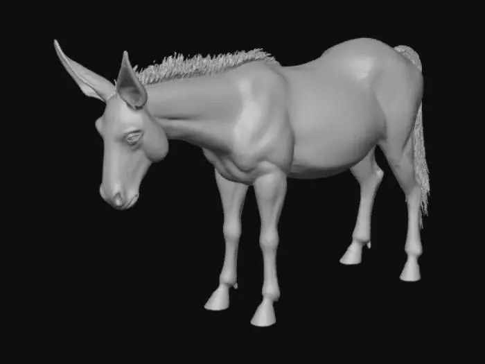 3D model for realistic mule with long ears and no saddle or bridle standing in a neutral pose