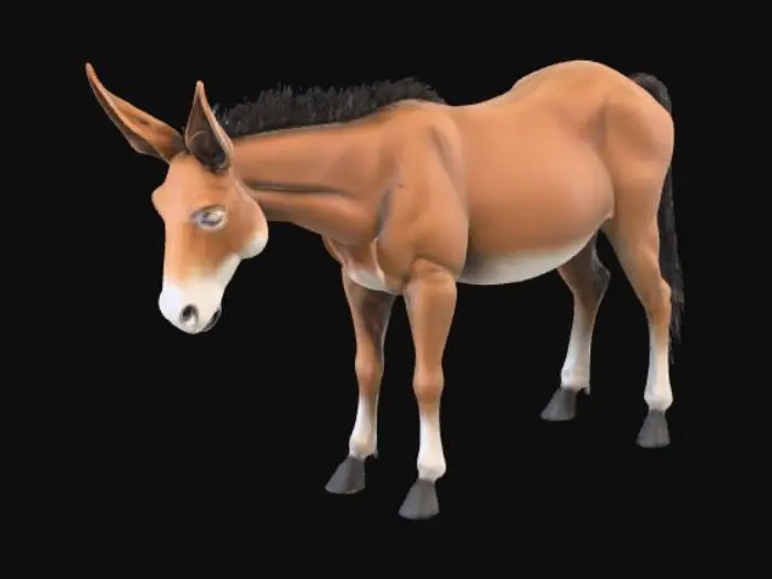 3D model for realistic mule with long ears and no saddle or bridle standing in a neutral pose