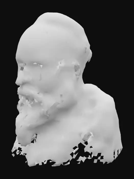 3D model for Bearded Reflection