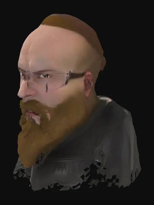3D model for Bearded Reflection