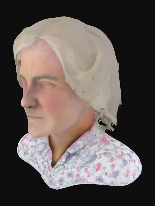 3D model for Portrait with Patterned Shirt