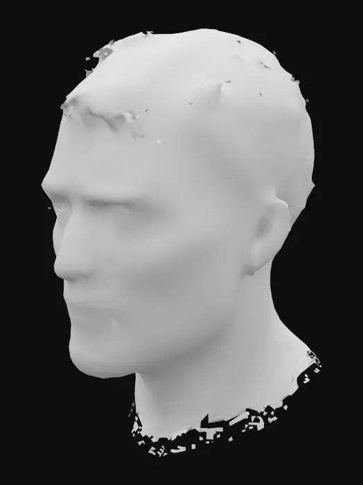 3D model for Portrait of a Man