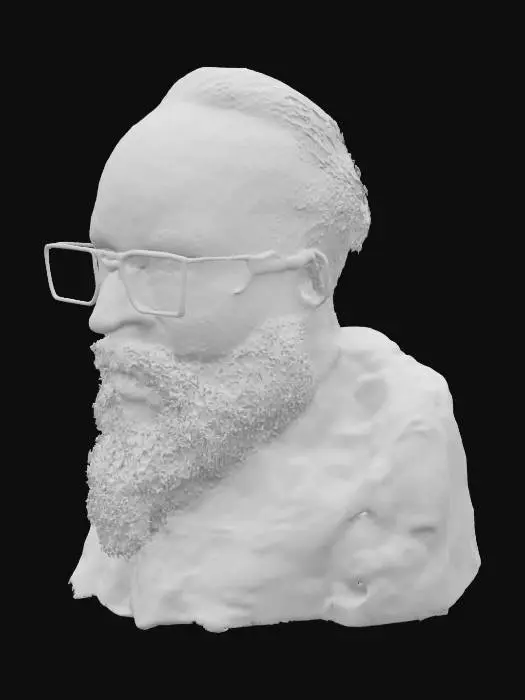 3D model for Bearded Reflection