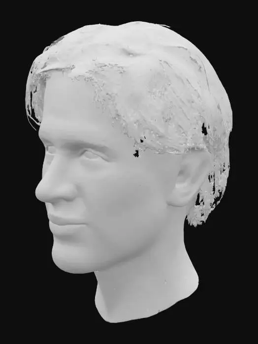 3D model for Portrait of Tranquility