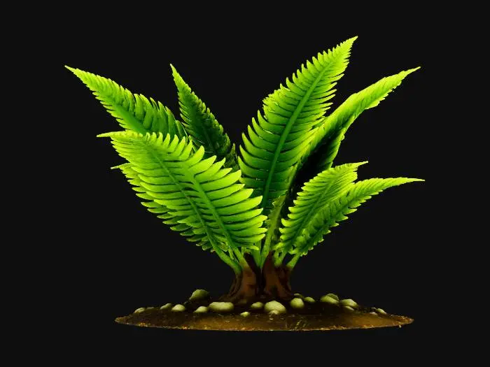 3D model for samambaia