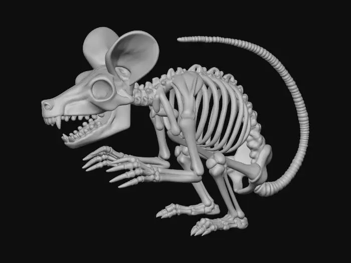 3D model for Bad Mickey