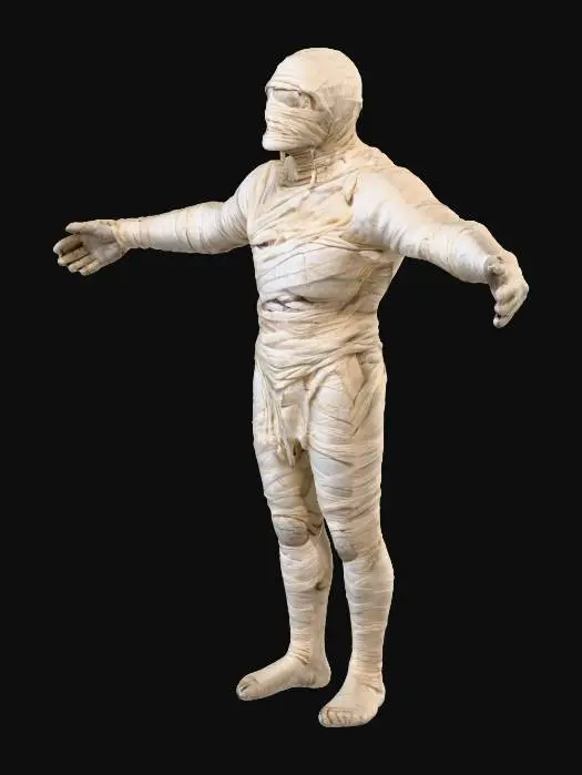 3D model for Veiled Presence