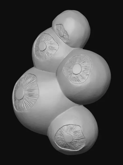 3D model for Eye Cluster, #Thanksgiving#