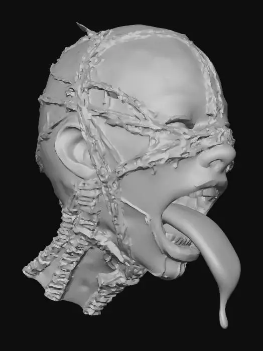 3D model for the head