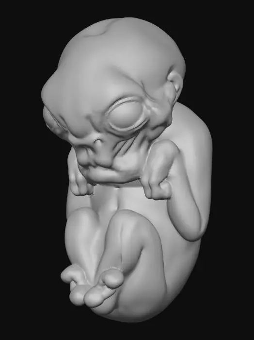 3D model for baby alien
