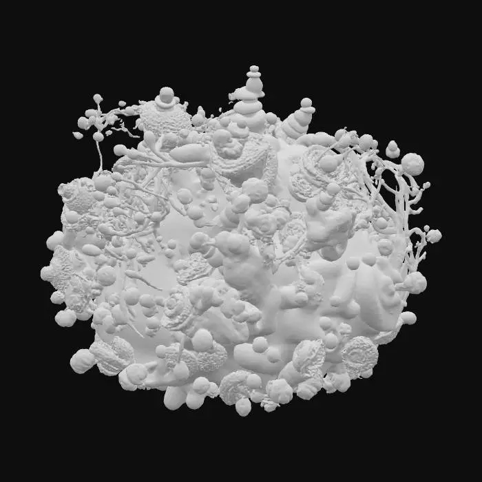 3D model for Vibrant Microcosm