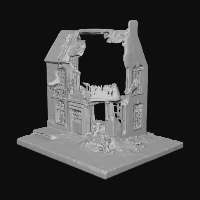 3D model for debrius