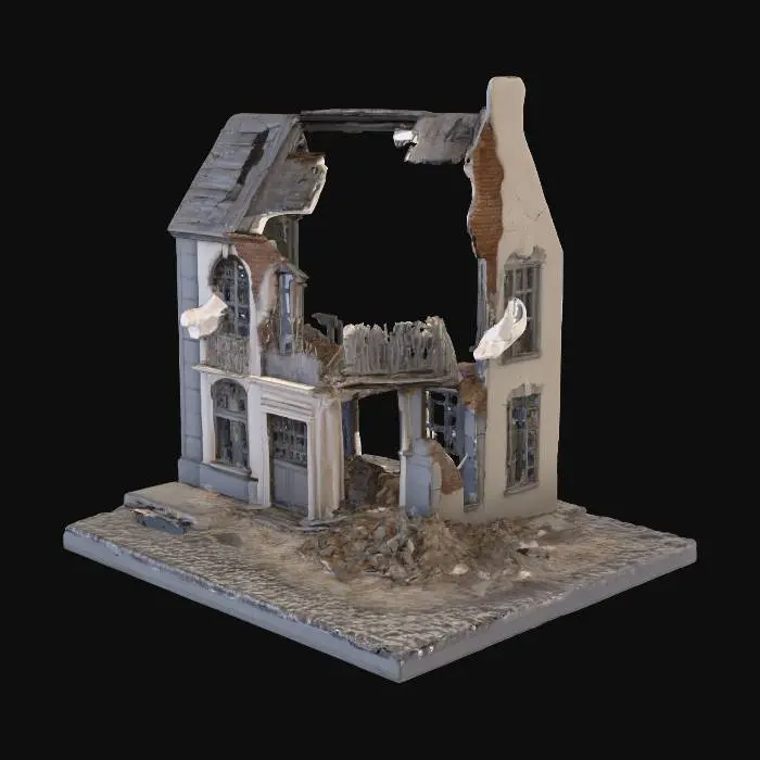 3D model for debrius