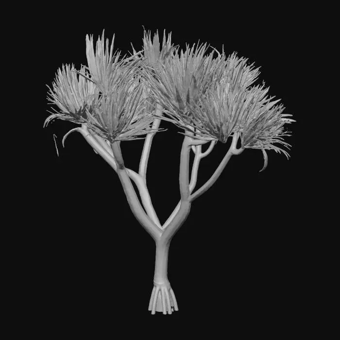 3D model for Desert Elegance