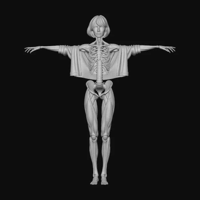 3D model for Anatomical Betty