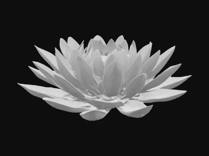 3D model for Fleur nénuphars trop belle géante lumineuse violette degradê