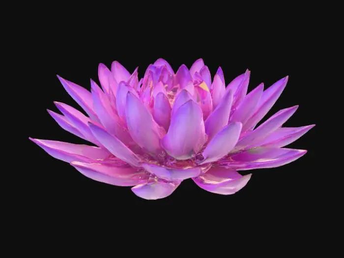 3D model for Fleur nénuphars trop belle géante lumineuse violette degradê