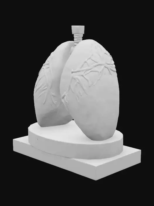 3D model for a granite statue of a human set of lungs resting on a granite base