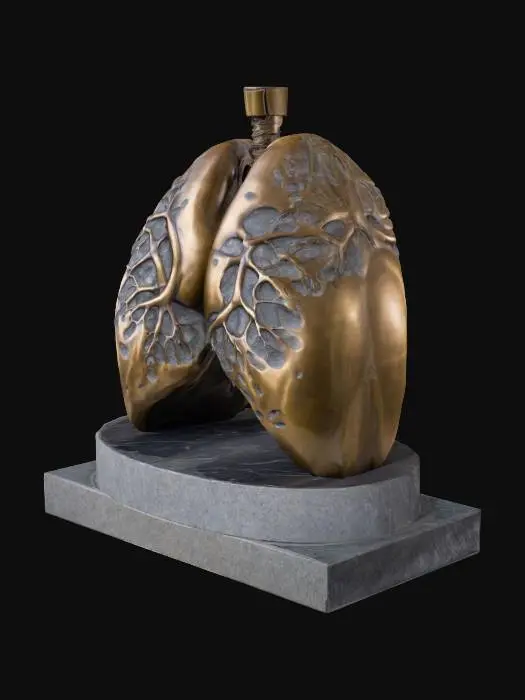 3D model for a granite statue of a human set of lungs resting on a granite base