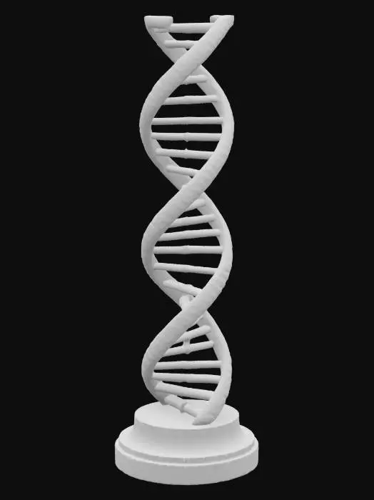3D model for A bronze statue of a DNA strand rising vertically resting on a bronze base.


