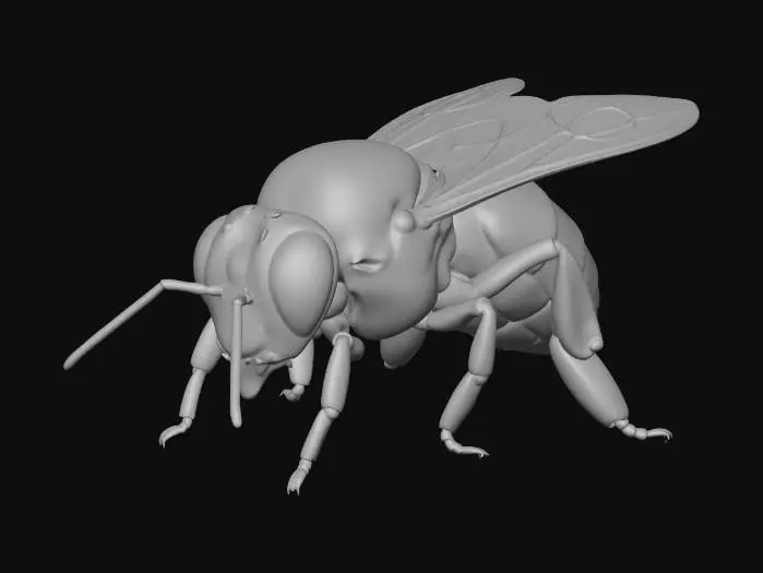 3D model for Honeybee Close-Up