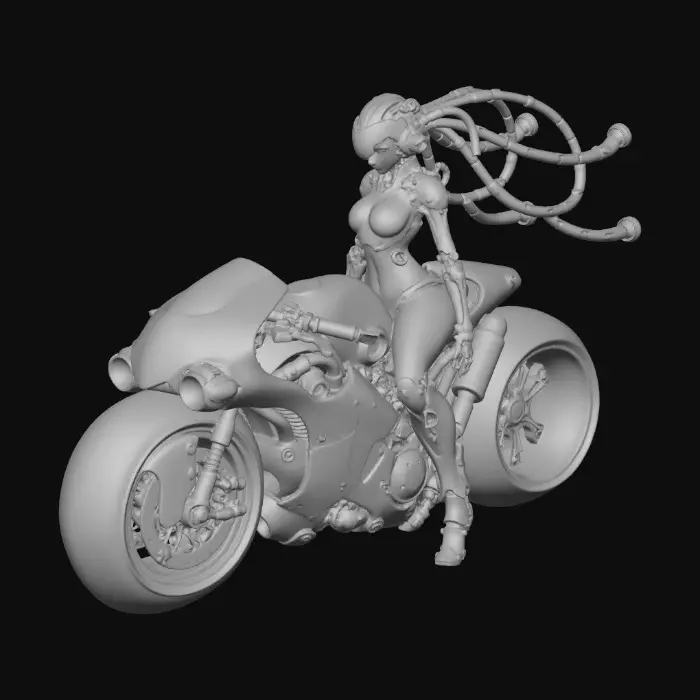 3D model for Cybernetic Rider