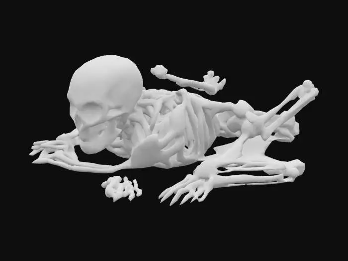 3D model for Pile of bones