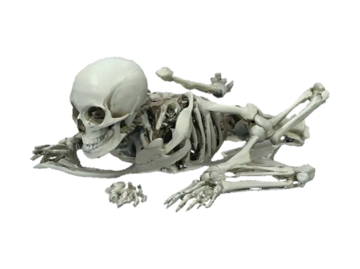 Pile of bones - Vertebrae 3D model, vytvořený pomocí AI