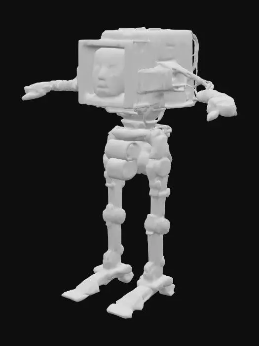 3D model for Robo-Reflection