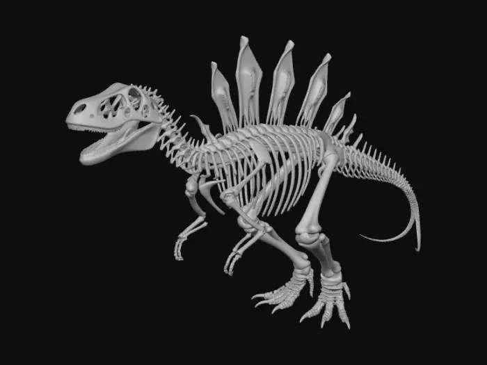 3D model for Spinosaurus Skeleton