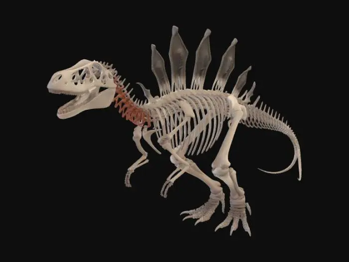 3D model for Spinosaurus Skeleton
