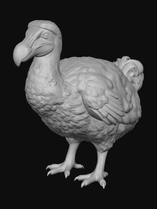 3D model for Brown Dodo