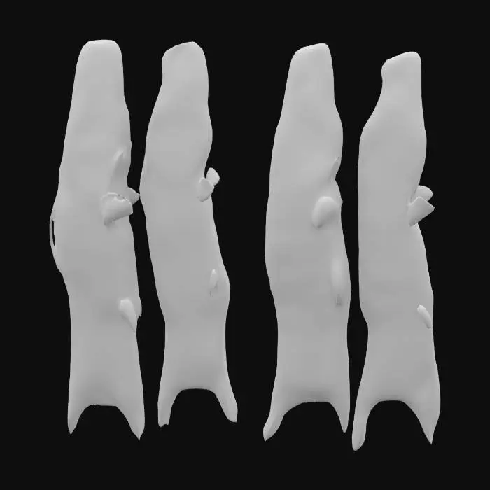 3D model for Koinobori