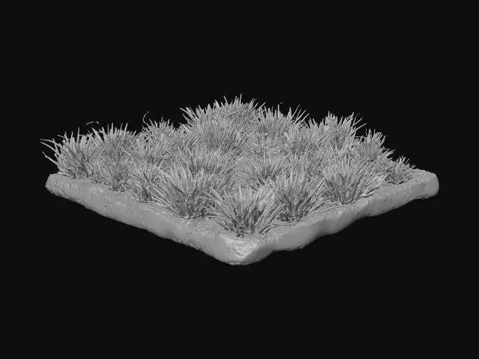 3D model for A 2:1 ratio rectangular patch of faded dark green grassy terrain, its short, sparse blades revealing dry, light brown soil beneath. The muted olive-green grass is brittle, feeling rough and stiff to the touch. Its elongated form shows minor undulations, with exposed patches of compact, earthy ground clearly visible between the thin, sun-baked vegetation, creating a subtly uneven texture.