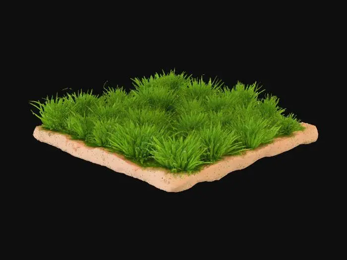 3D model for A 2:1 ratio rectangular patch of faded dark green grassy terrain, its short, sparse blades revealing dry, light brown soil beneath. The muted olive-green grass is brittle, feeling rough and stiff to the touch. Its elongated form shows minor undulations, with exposed patches of compact, earthy ground clearly visible between the thin, sun-baked vegetation, creating a subtly uneven texture.