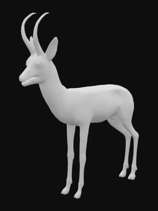 3D model for Southern African Elegant Antelope, #AroundTheWorld#